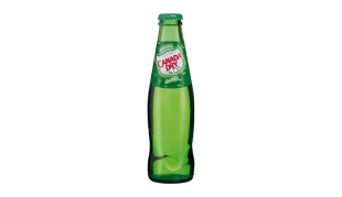 Canada Dry bottle